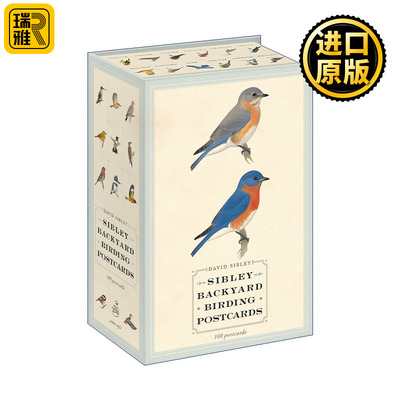 Sibley Backyard Birding Postcards 西布利鸟类明信片 观鸟指南 David Sibley