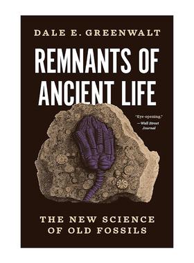 英文原版 Remnants of Ancient Life 古代生命的遗迹 古老化石的新科学 史密森学会国家自然历史博物馆研究员Dale E. Greenwalt