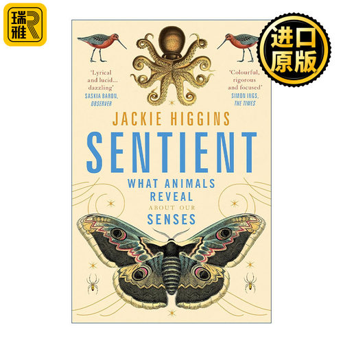 Sentient 感官奇迹 跨越物种的人类感知冒险之旅
