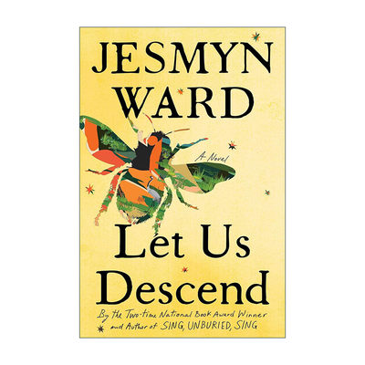 英文原版 Let Us Descend 让我们沉沦 Jesmyn Ward 入围卡内基卓越奖 英文版 进口英语原版书籍