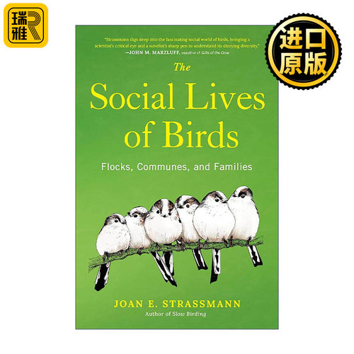 英文原版 The Social Lives of Birds 鸟类的社会生活 鸟群 公社和家庭 观鸟 科普指南 Joan E. Strassmann 精装 进口英语原版书籍