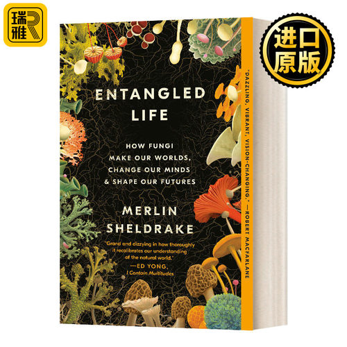 Entangled Life 纠缠的生命 真菌如何创造我们的世界 英文原版