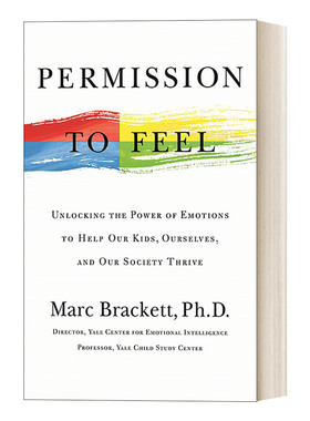 Permission to Feel  情绪解锁 请感受自由，释放关系、学习与自在生活的能量 精装