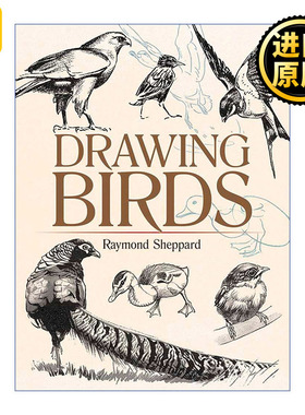 英文原版 Drawing Birds (Dover Art Instruction) Raymond Sheppard