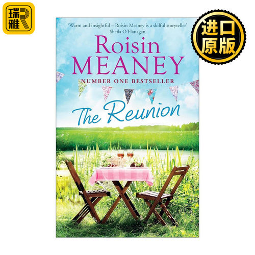英文原版 The Reunion 毕业十年再相遇 中年版致青春 罗辛·米尼 Roisin Meaney 英文版 进口英语原版书籍