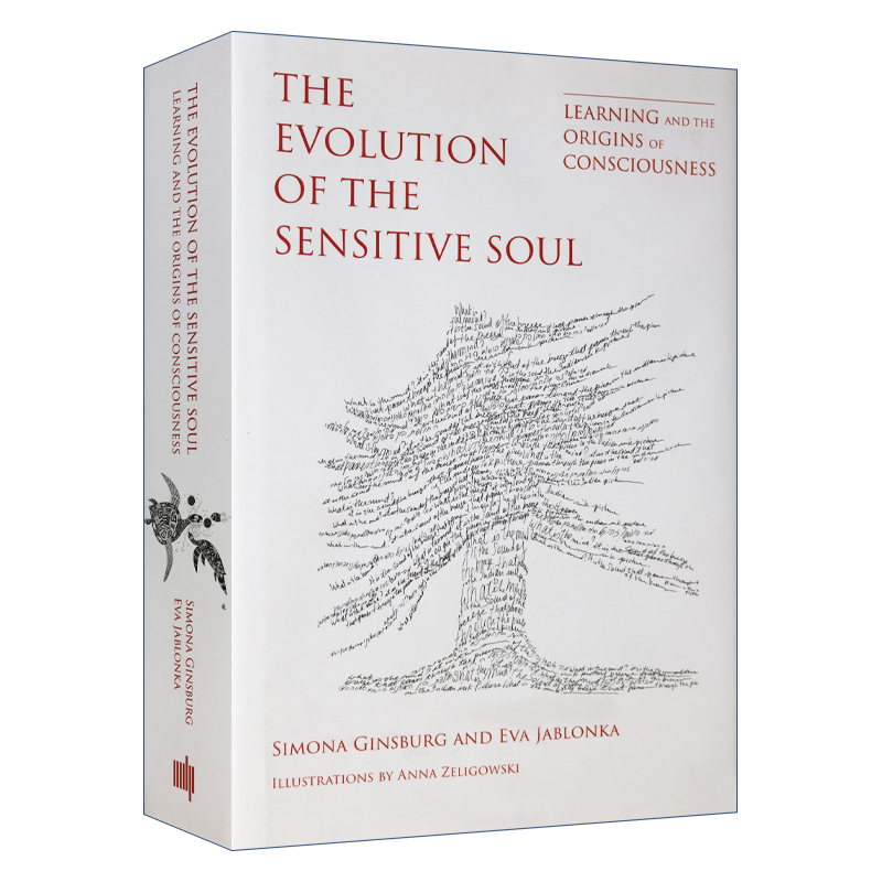 The Evolution of the Sensitive Soul Simona Ginsburg 英文原版