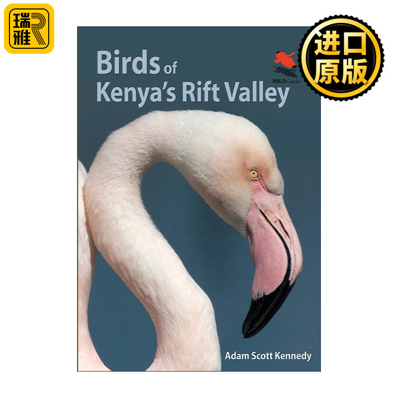 Birds of Kenya's Rift Valley 肯尼亚大裂谷的鸟类 观鸟指南 Adam Scott Kennedy