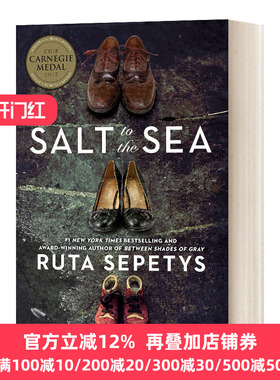 至海之盐 英文原版 Salt to The Sea 英文版小说 Ruta Sepetys 卡耐基文学奖 二战沉船事件 向大海撒盐 进口英语原版书籍