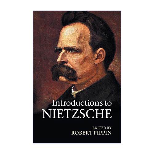 英文原版 Introductions to Nietzsche 尼采导读论文集 文本细读 哲学分析 历史语境 Robert B. Pippin 英文版 进口英语原版书籍