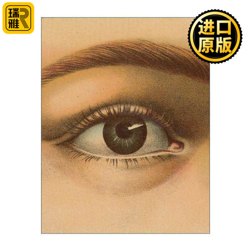 英文原版 John Derian Picture Book 约翰德里安画集1 精装 英文版 进口英语原版书籍