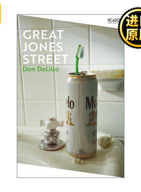 Great Jones Street 大琼斯街 美国国家图书奖得主唐·德里罗 DeLillo Don