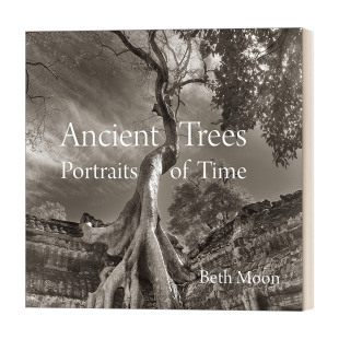 Moon Beth Ancient Trees