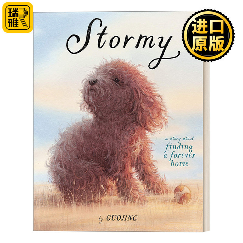 Stormy 暴风雨：寻找一个永远的家 3-7岁儿童友谊漫画绘本 独生小孩作者郭婧 精装