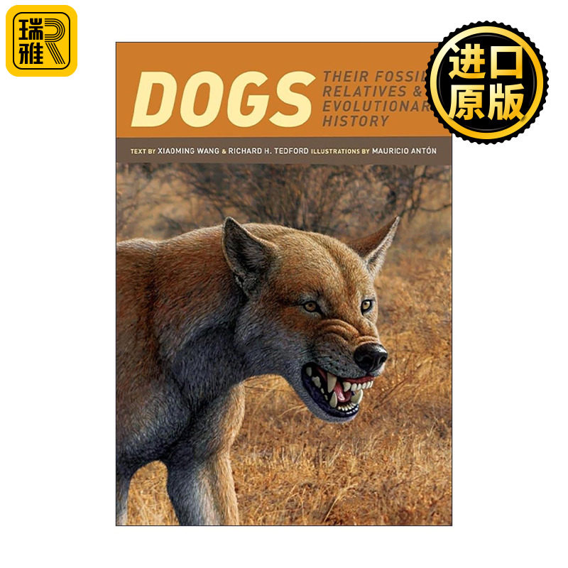 英文原版 Dogs 犬类和它们的化石近亲 王晓鸣 哥伦比亚大学出版社 英文版 进口英语原版书籍