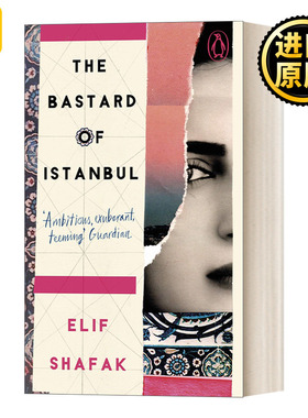 The Bastard of Istanbul  Penguin Essentials