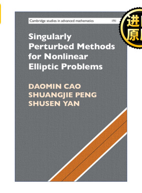 Singularly Perturbed Methods for Nonlinear Elliptic Problems