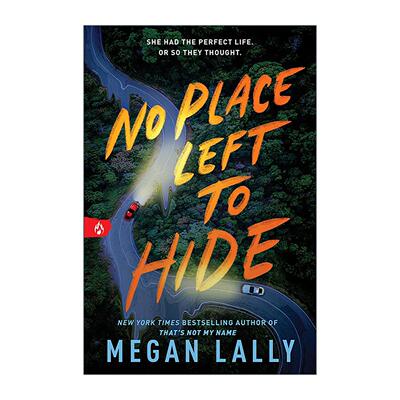 英文原版 No Place Left to Hide 无处可藏 惊悚悬疑小说 Megan Lally 英文版 进口英语原版书籍