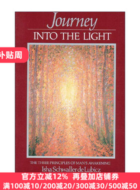 英文原版 Journey into the Light 光明之旅 人类觉醒的三个原则 Isha夫人 英文版 进口英语原版书籍