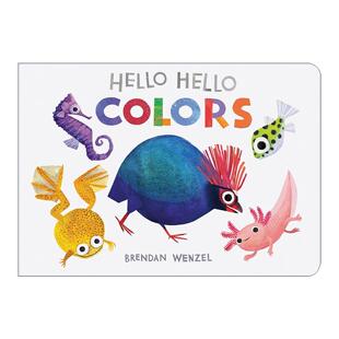 英文原版 Hello Hello Colors 你好你好 颜色 纸板书 凯迪克奖得主布兰登·文策尔 英文版 进口英语原版书籍
