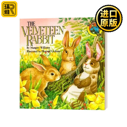 绒布小兔子英文原版书