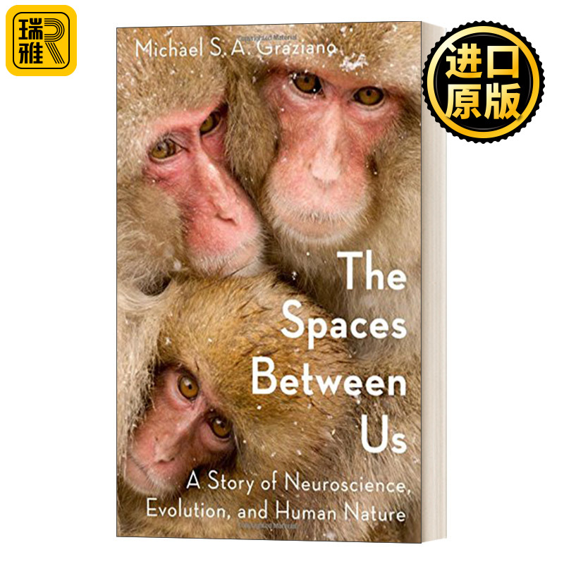 The Spaces Between Us 我们之间的空间:神经科学,进化和人性的故事 精装 英文原版
