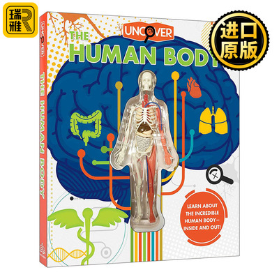 Uncover the Human Body 揭秘人体 精装
