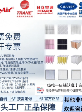 美埃特灵天加TICA约克开利日立过滤器定制金属网板式袋式活性炭