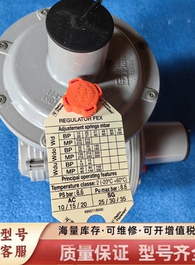 非标价Pietro Fiorentini菲奥伦蒂尼调压阀