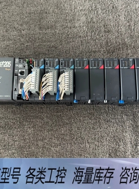 非标价Direct205 PLC工控机，带DL260 CPU模