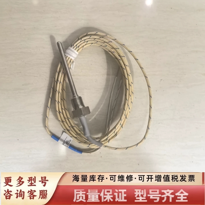 非标价热电偶E52-CA6D