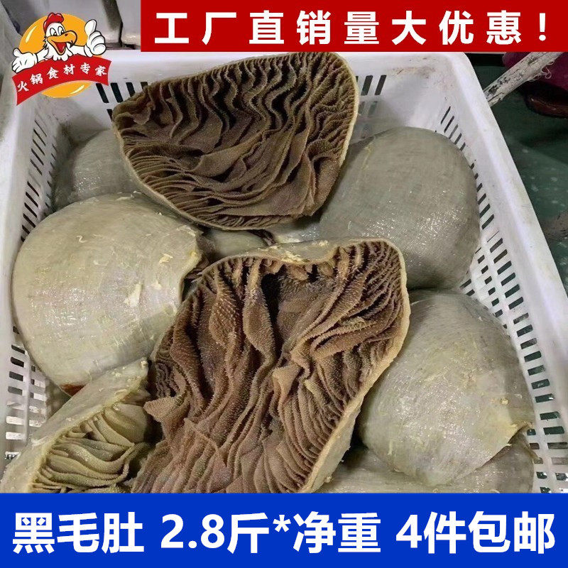 黑毛肚整个牛毛肚重庆火锅食材老北京涮肚带底皮配菜牛百叶串串香,水产肉类/新鲜蔬果/熟食,其它牛肉类,淘宝优惠券,粉丝福利购,淘宝优惠卷