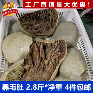 黑毛肚整个牛毛肚重庆火锅食材老北京涮肚带底皮配菜牛百叶串串香