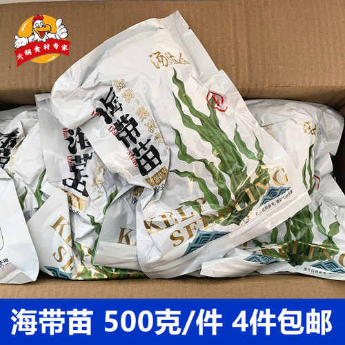 汤达人海带苗1斤凉拌菜素食煲汤