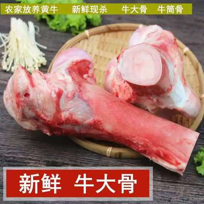 新鲜牛大骨头带肉牛棒骨牛筒骨牛腿骨整根熬汤冷冻商用批发整箱