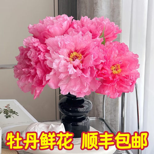 这家牡丹鲜花回购率100%