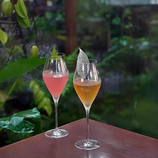 手工制优美线条高脚鸡尾酒杯香槟杯红酒起泡酒杯子调酒杯特调杯