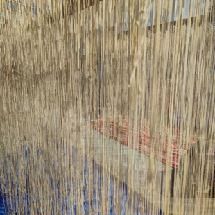 丽水特产缙云特产土爽面浙麦一号908小麦农家做土面