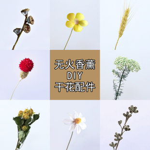 房间卫生间厕所除 搭配香薰瓶 无火香薰diy干花配件 天然干花花材