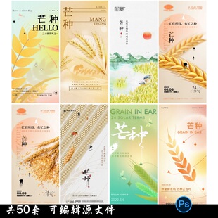 二十四24节气芒种海报设计地产企业推广宣传插画节日psd素材模版