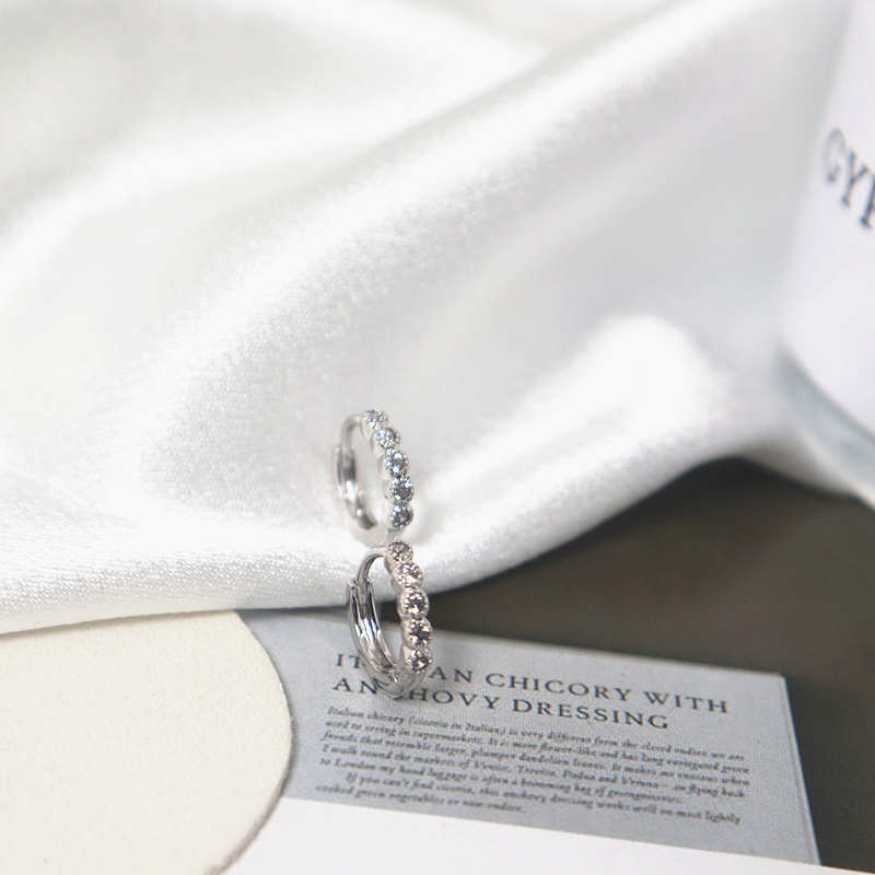 时尚镶钻女耳圈耳环2024年新款潮