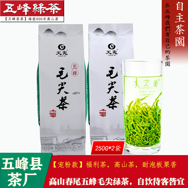 宠粉款五峰毛尖办公自饮茶500g