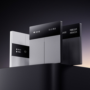 领普E5超薄智能屏显开关Mesh2.0无边框可自定义名称已接入米家APP