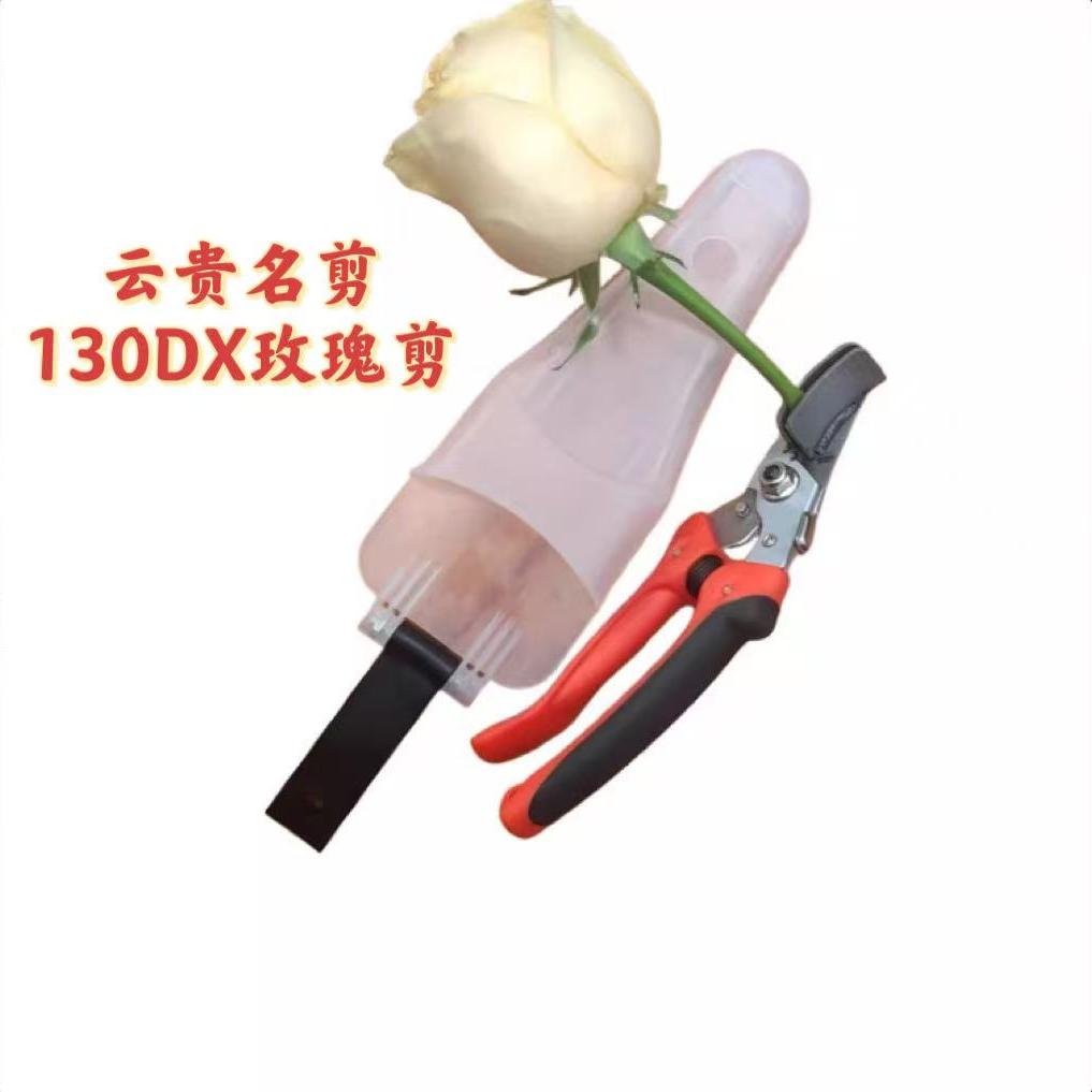 玫瑰采花剪抬剪摘花剪