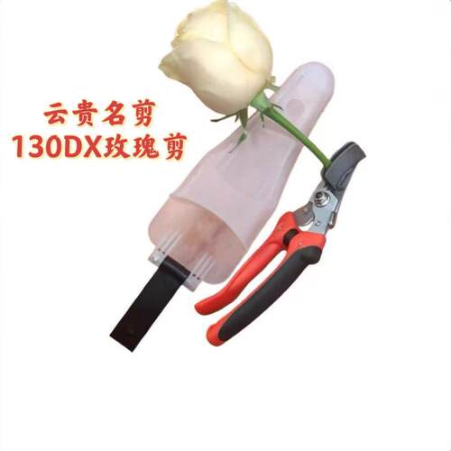 玫瑰采花剪抬剪摘花剪