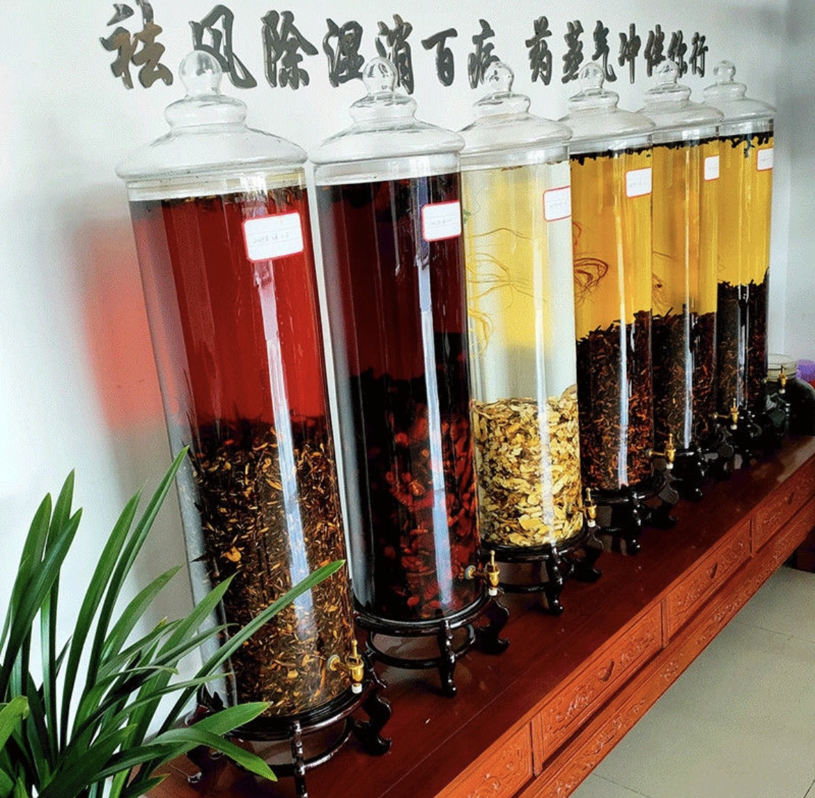 加厚玻璃泡酒瓶100斤人参鹿茸专用酒瓶1米2高档大口玻璃酒坛包邮