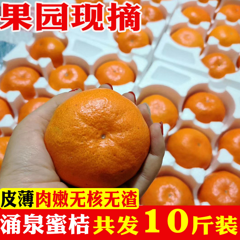 临海涌泉蜜桔新鲜无核橘子
