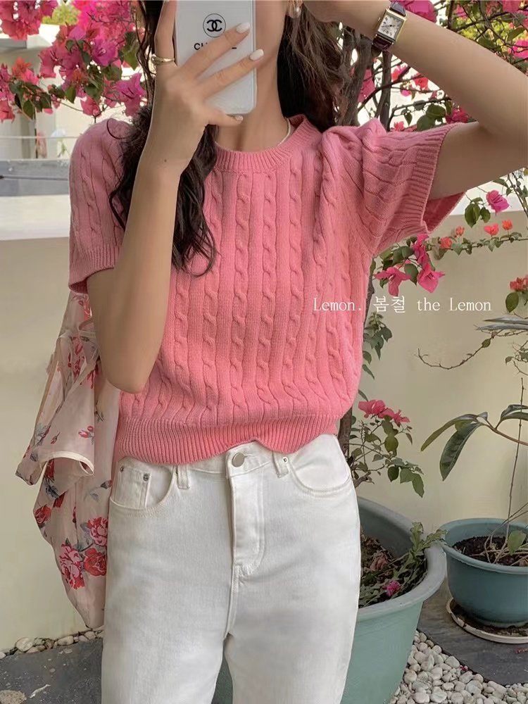 2026夏季新品麻花针织衫短袖显瘦韩版薄款小众甜美内搭慵懒风t桖