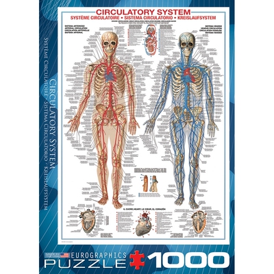 加拿大进口玩具益智拼图