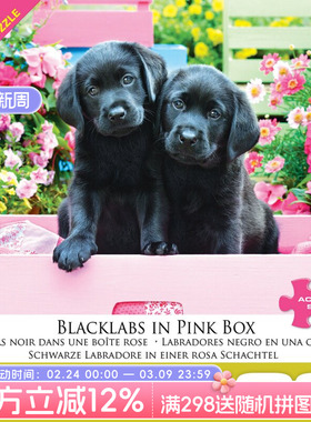 Eurographics 加拿大进口拼图成人益智拼图 黑色小狗 500片