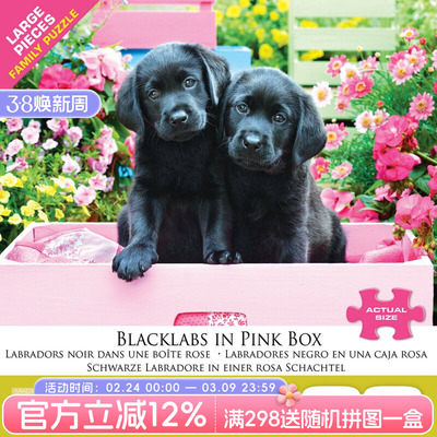 加拿大拼图Eurographics玩具礼物